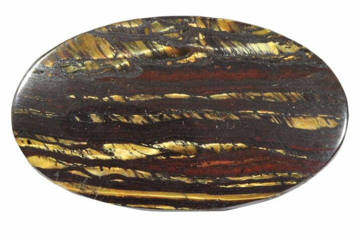 Tiger Iron Stromatolite Oval Cabochon #171319